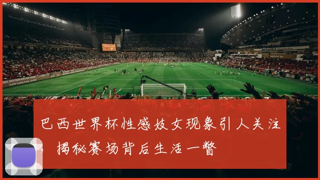 巴西世界杯性感妓女现象引人关注，揭秘赛场背后生活一瞥